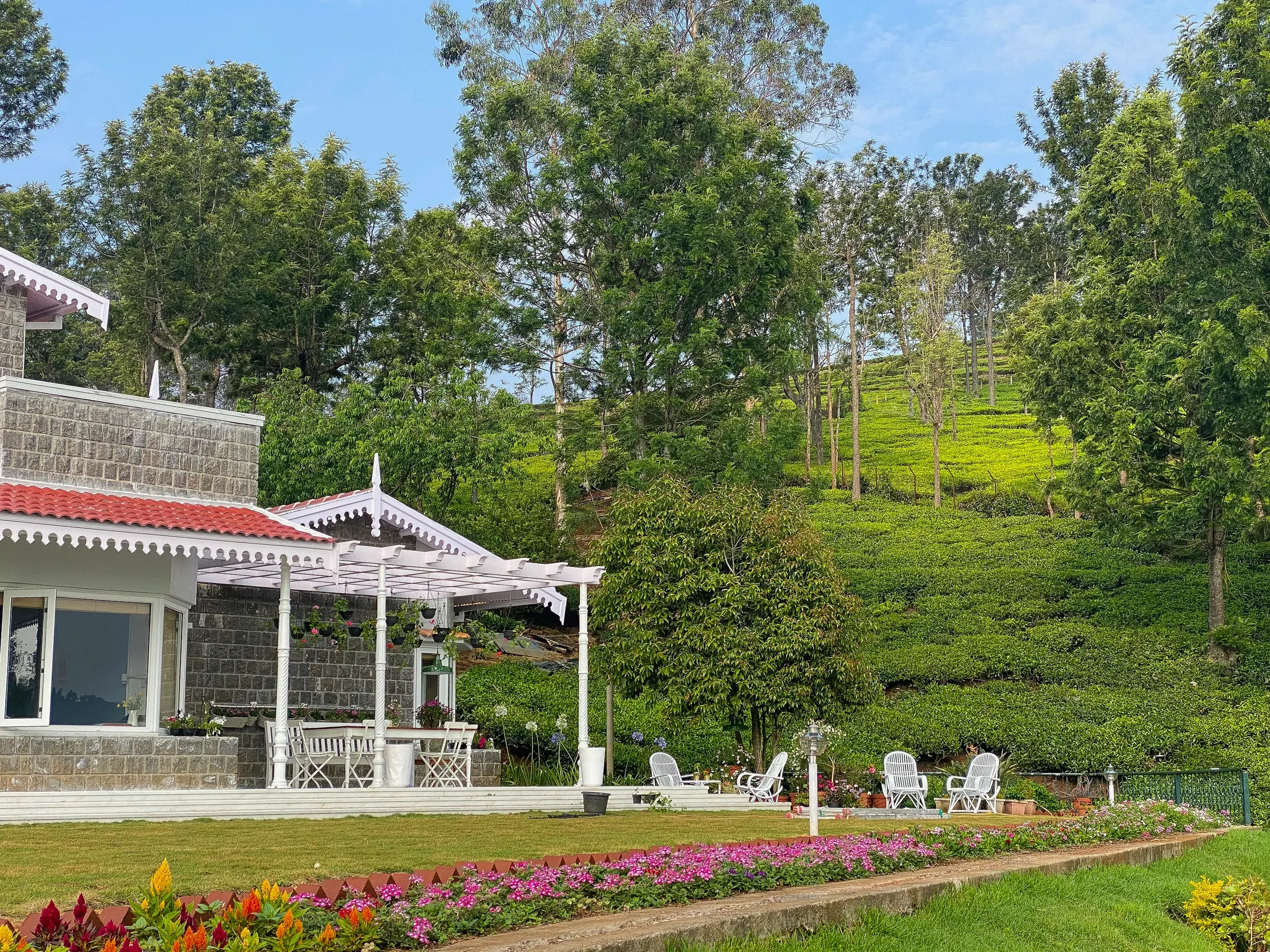 The Coonoor bungalow seen across the tea gardens